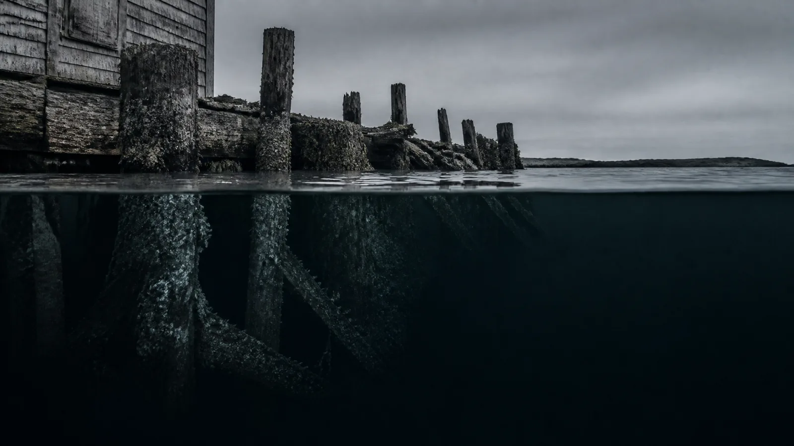 Survey plate of a decaying seaport waterline under overcast light, wet pilings furred with encrustation, a low dark reef on the horizon.